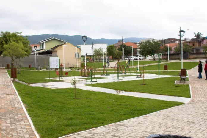 lineares