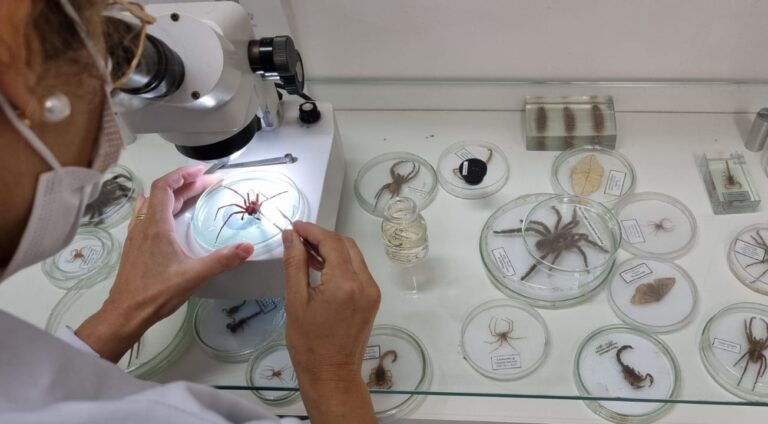 Centro de Informação e Assistência Toxicológica de SC completa 40 anos