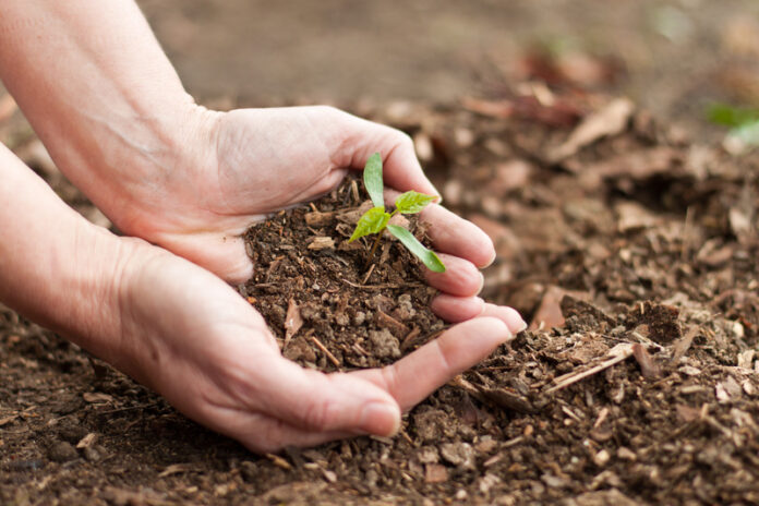 Univali promove semana do meio ambiente_31.5.2024__