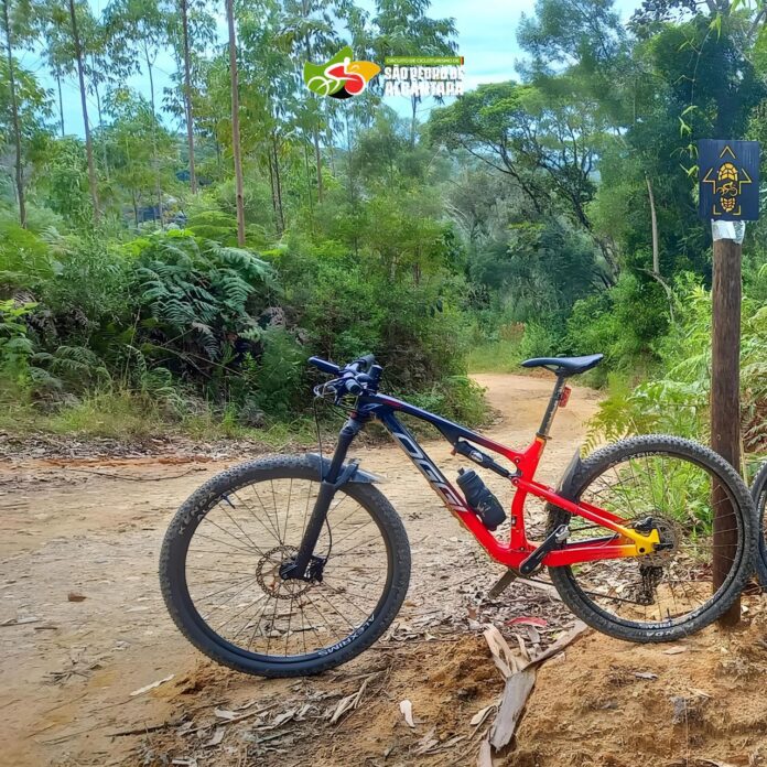 ciclo
