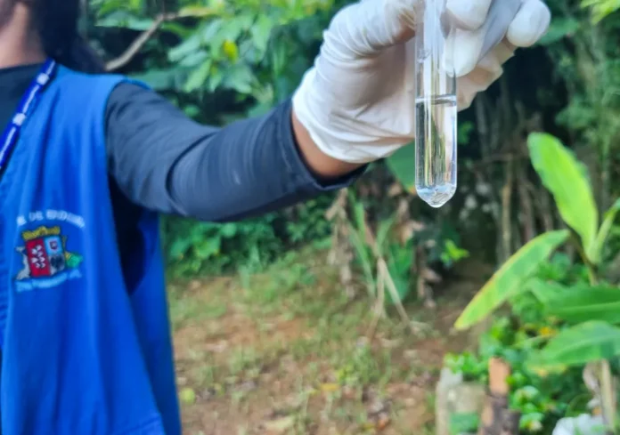Mutirao-da-dengue